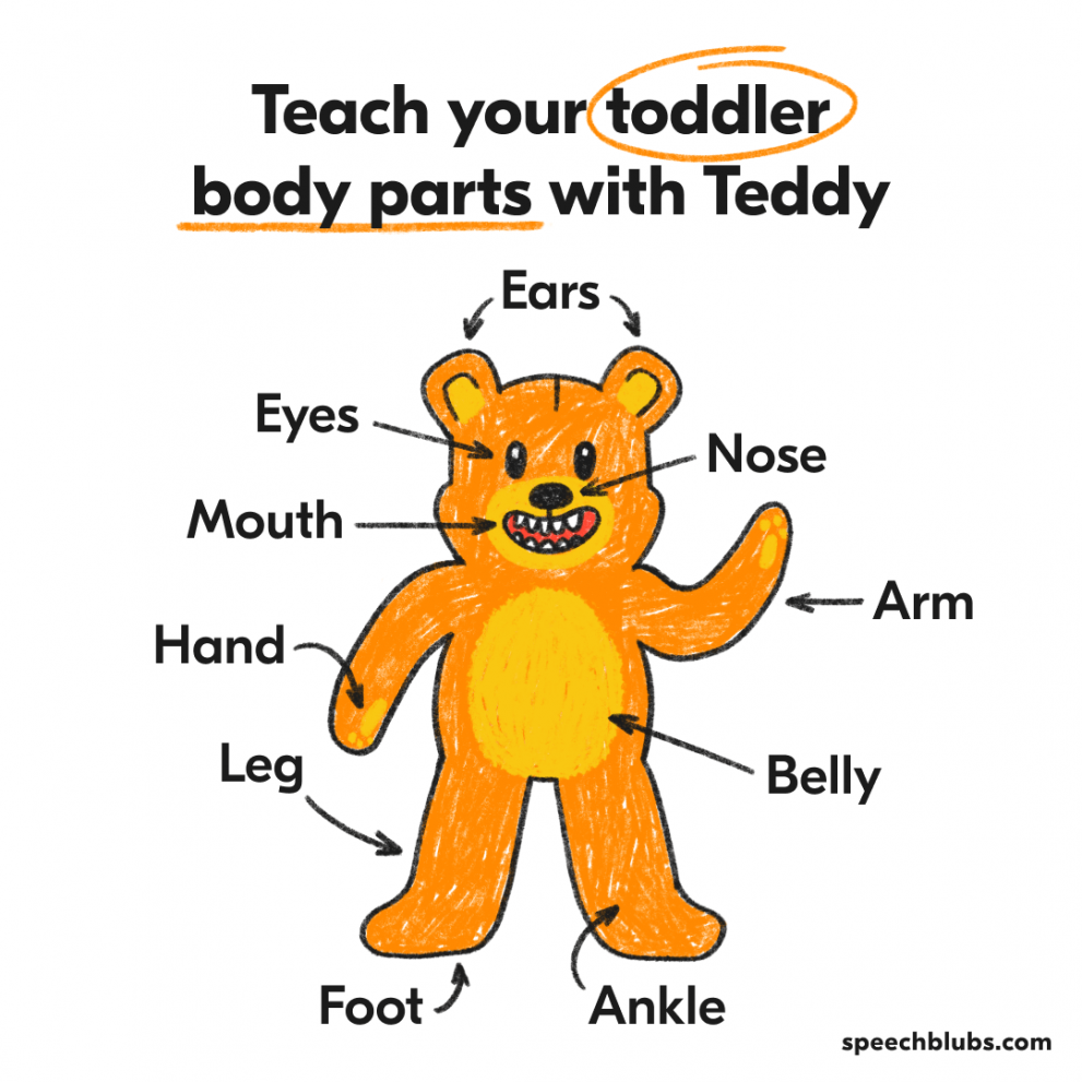 Language games with Teddy Bear